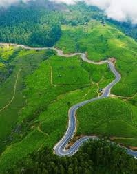 Munnar Packages