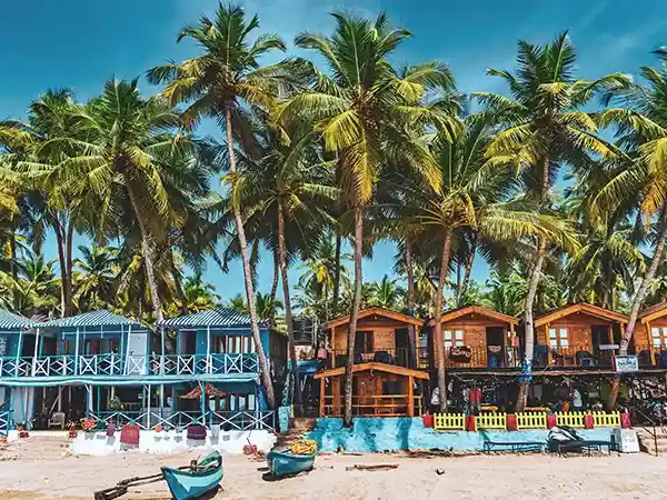 Goa package