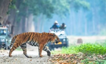 Jim Corbett