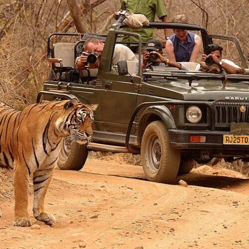 Ranthambore Package