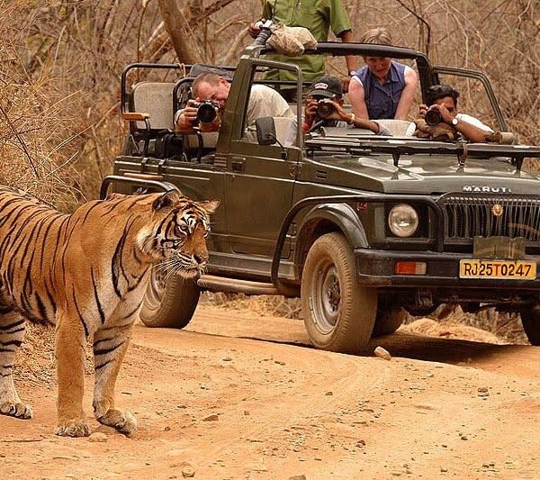 Ranthambore Package