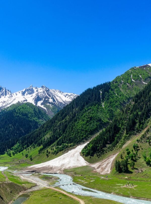 Kashmir